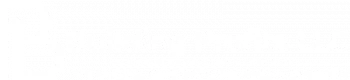 Building Profits LLC logo — financial operations and advisory services